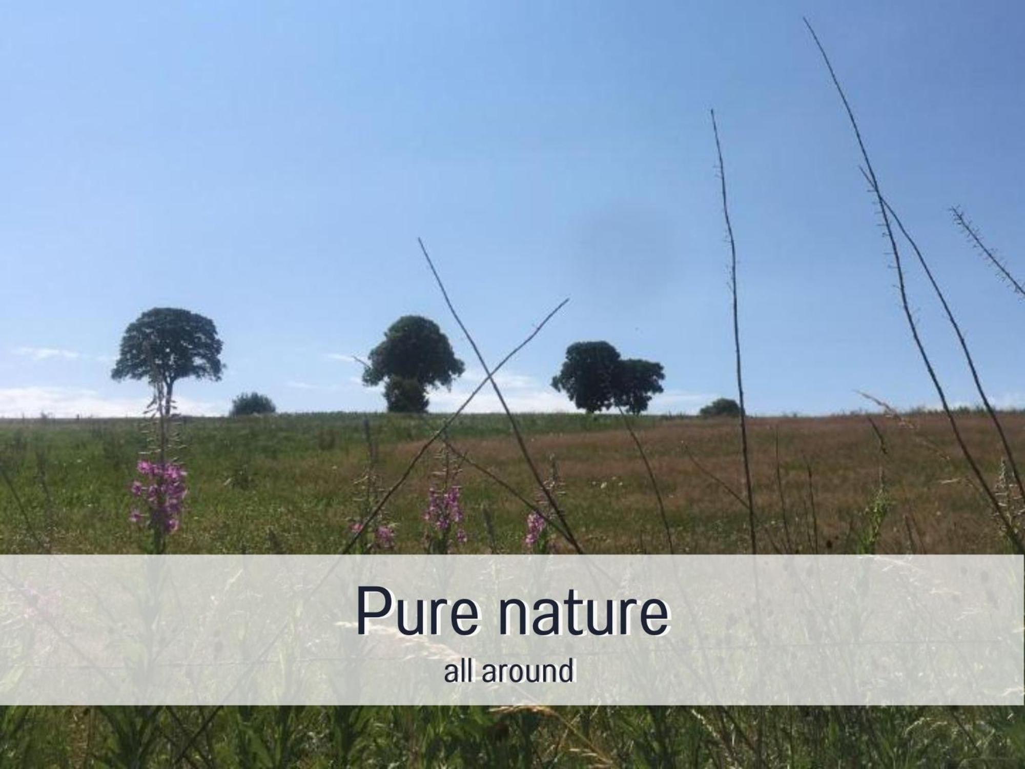 Paulis Cozy 4-Bedroom Vacation Home - With 4 Bathrooms Sun Terrace & Sauna, Nice To Hike & Bike, To Chil & Meet Bullange Zewnętrze zdjęcie
